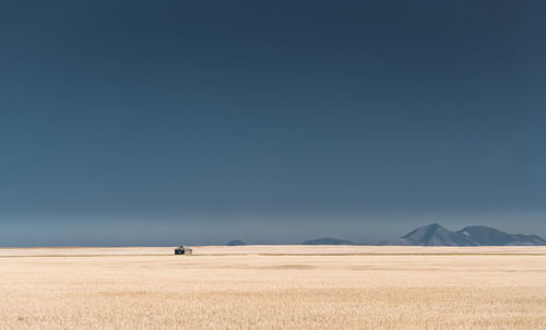 Scenic view of agricultural field against clear sky