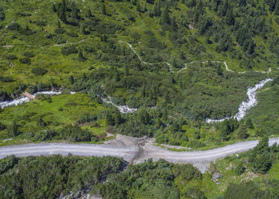 High angle view of road amidst trees