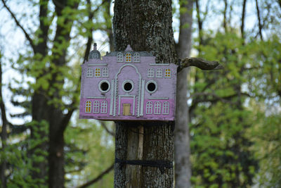 Close-up of information sign on tree trunk in forest