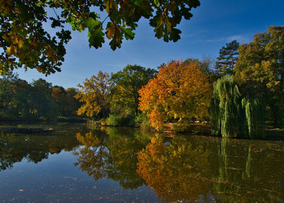 Reflection of trees in lake against sky during autumn