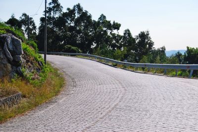 Empty road along trees and plants in city