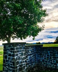 Brick wall by trees against sky