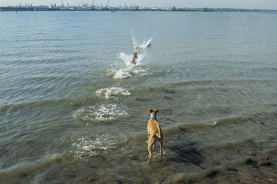 Men on sea shore