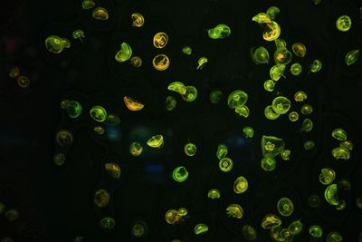 Full frame shot of abstract background