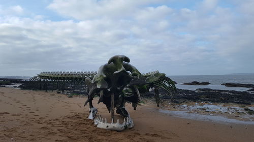 View of horse on beach against sky