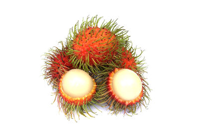 High angle view of fruit against white background