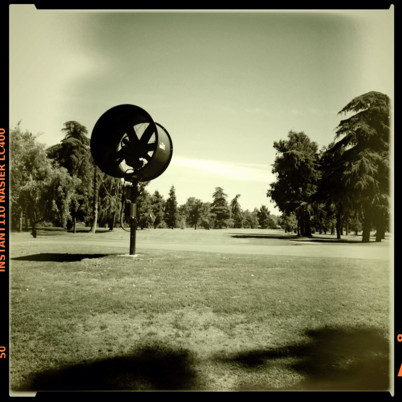 tree, transfer print, sky, auto post production filter, street light, transportation, lighting equipment, cloud - sky, circle, sport, sunlight, outdoors, street, road, day, tranquility, cloud, no people, shadow, nature