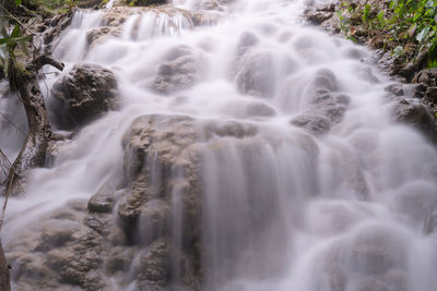Scenic view of waterfall in forest