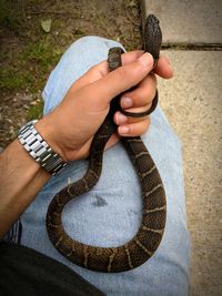 Close-up of man holding umbrella