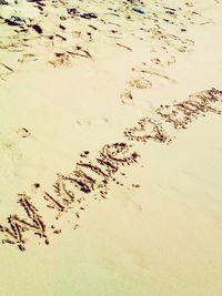 High angle view of sand on beach