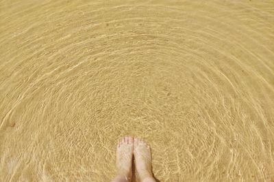 Low section of person on beach