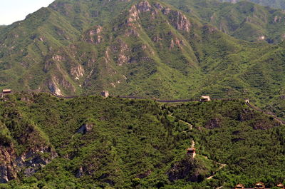 High angle view of plants growing on land