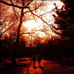 Silhouette of woman on tree trunk during sunset