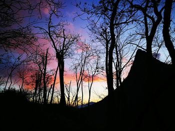 Silhouette trees against sky during sunset