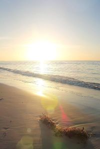 Scenic view of beach against clear sky during sunset