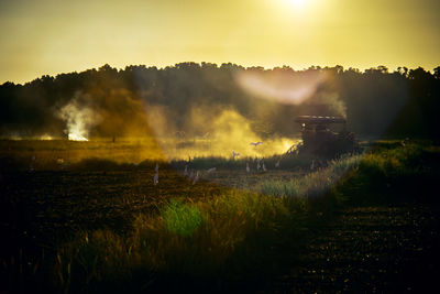 Scenic view of field against sky during sunset