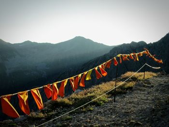 Multi colored flags on mountain against sky