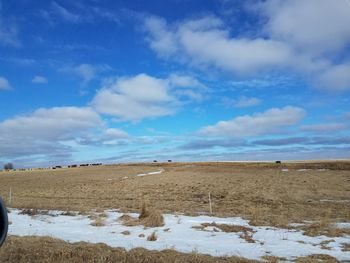 Scenic view of field against blue sky