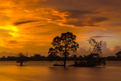 Silhouette trees by river against orange sky
