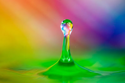 Close-up of water drop on glass