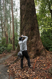 Rear view of man standing by tree trunk in forest
