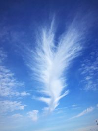 Low angle view of vapor trail in sky