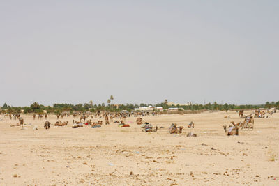 Group of people on beach against clear sky