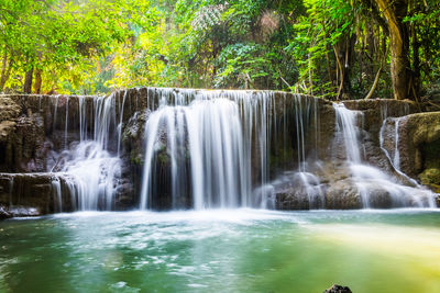 Low angle view of waterfall in forest