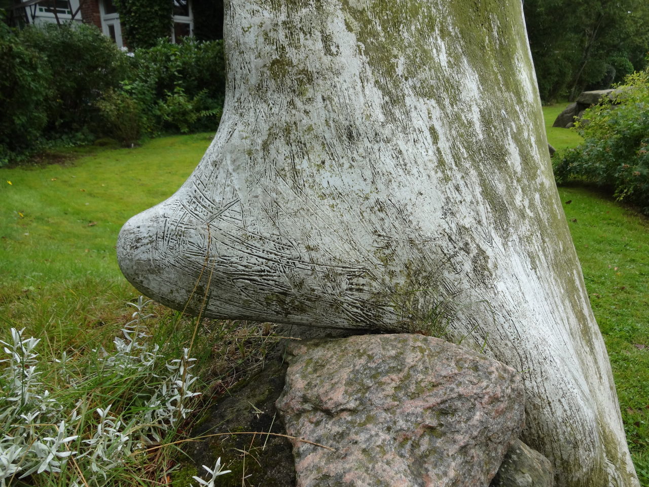 CLOSE-UP OF TREE TRUNK WITH MOSS ON GRASS