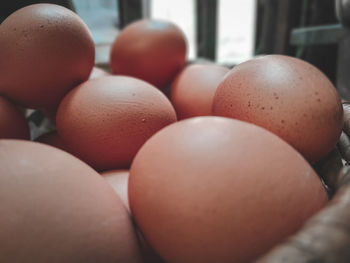 Close-up of eggs