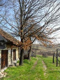 Built structure with bare trees in foreground