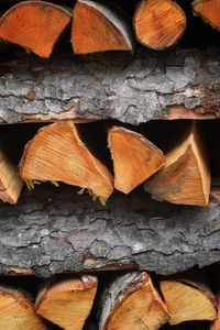 Full frame shot of logs in forest