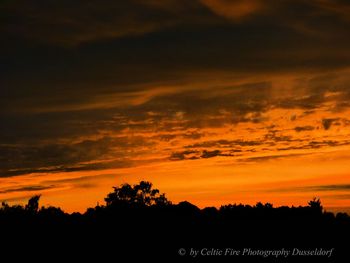 Silhouette trees against dramatic sky during sunset