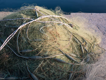Close-up of fishing net