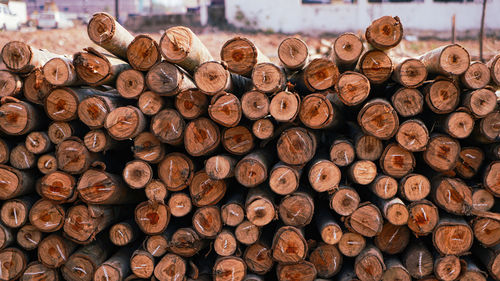 Beautiful wood kept in pattern creating a nice background, storage place for wood logs, stack of log