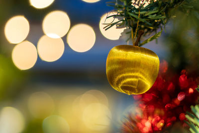 Close-up of illuminated christmas tree