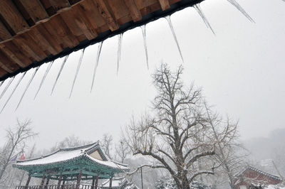 Low angle view of bare tree and building against sky during winter