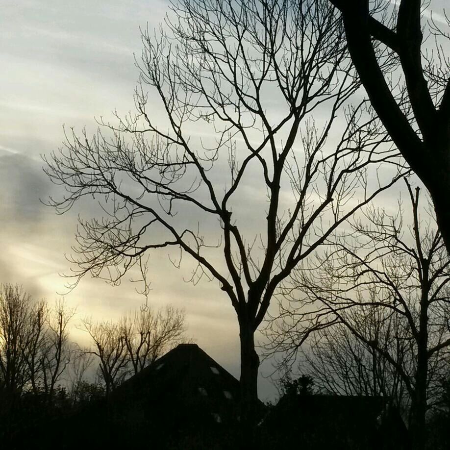 bare tree, tree, branch, sky, silhouette, tranquility, tranquil scene, sunset, scenics, nature, tree trunk, beauty in nature, cloud - sky, landscape, outdoors, no people, non-urban scene, dusk, idyllic, built structure