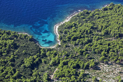 High angle view of trees and sea