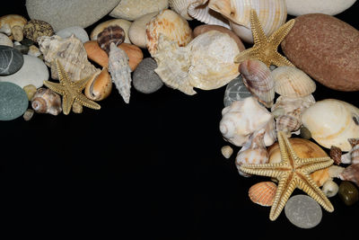 Close-up of seashell and pebbles decoration on black background