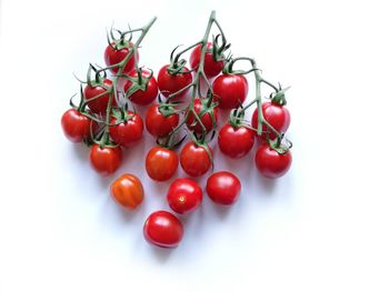 Close-up of tomatoes against white background