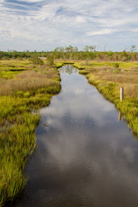 Scenic view of marsh wetland against sky