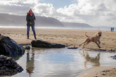 Woman standing by golden doodle running at beach