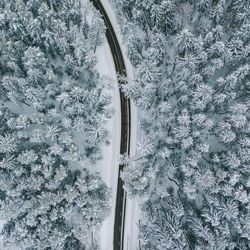 High angle view of snowy forest during winter