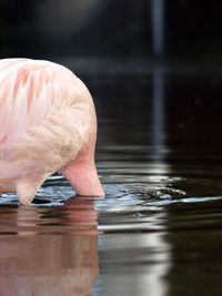 Close-up of splashing water