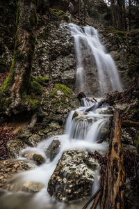 Scenic view of waterfall in forest