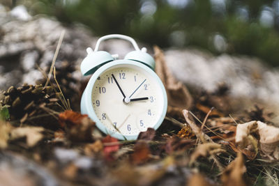 Close-up of clock on field