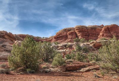 Desert landscape of small trees and rounded red rock formations in utah