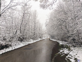 View of frozen stream along bare trees