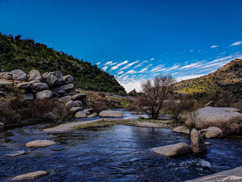Scenic view of river by trees against blue sky